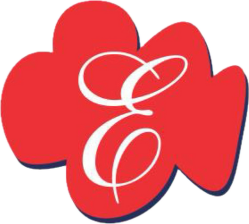 EMPIRE APPARELS PVT LTD 